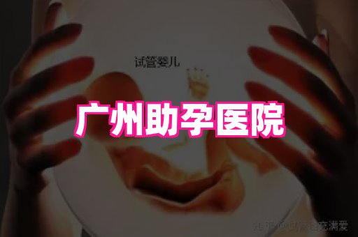 821孕网 2