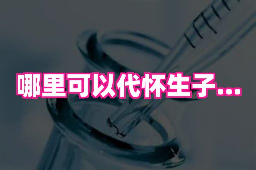 821孕网 3